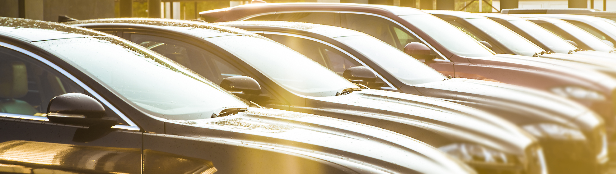 luxury car rental fleet